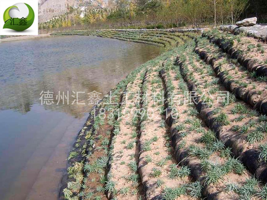 草籽生態袋
