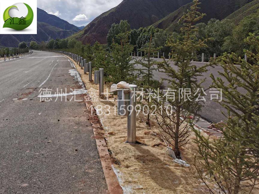 草籽椰絲毯公路邊坡防護
