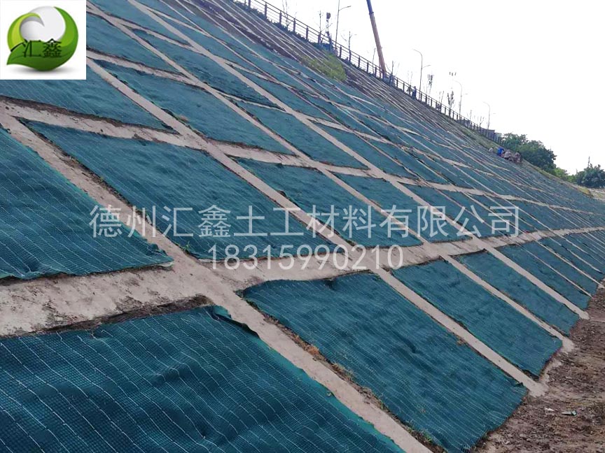 內江城區桐梓壩大橋河道綜合治理