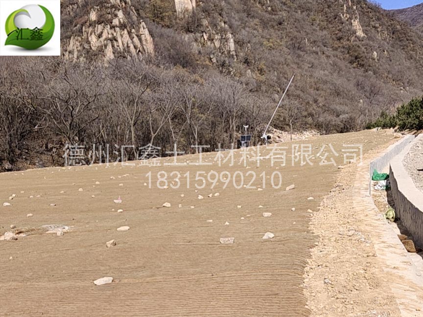北京冬奧會高山滑雪場山體護坡