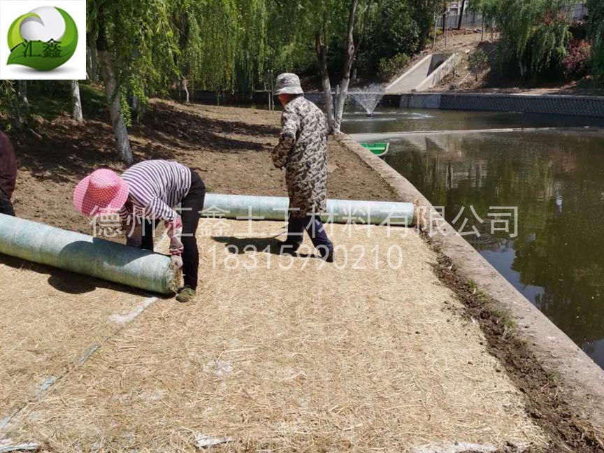植生毯鋪完要不要覆土？