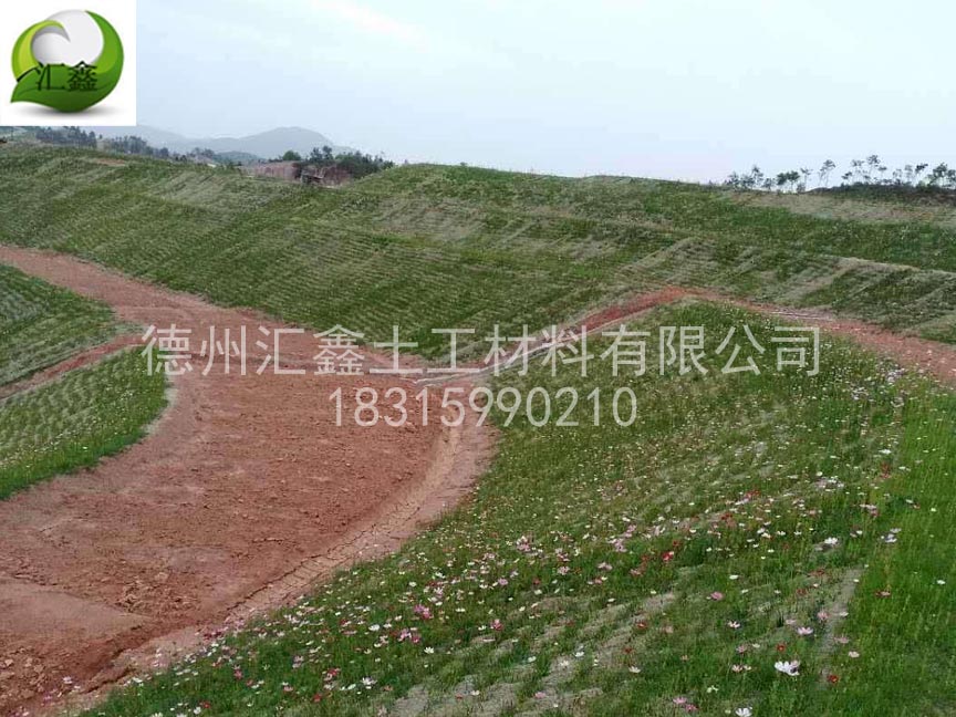護坡草毯廠家常用的草籽有哪些？(圖1)