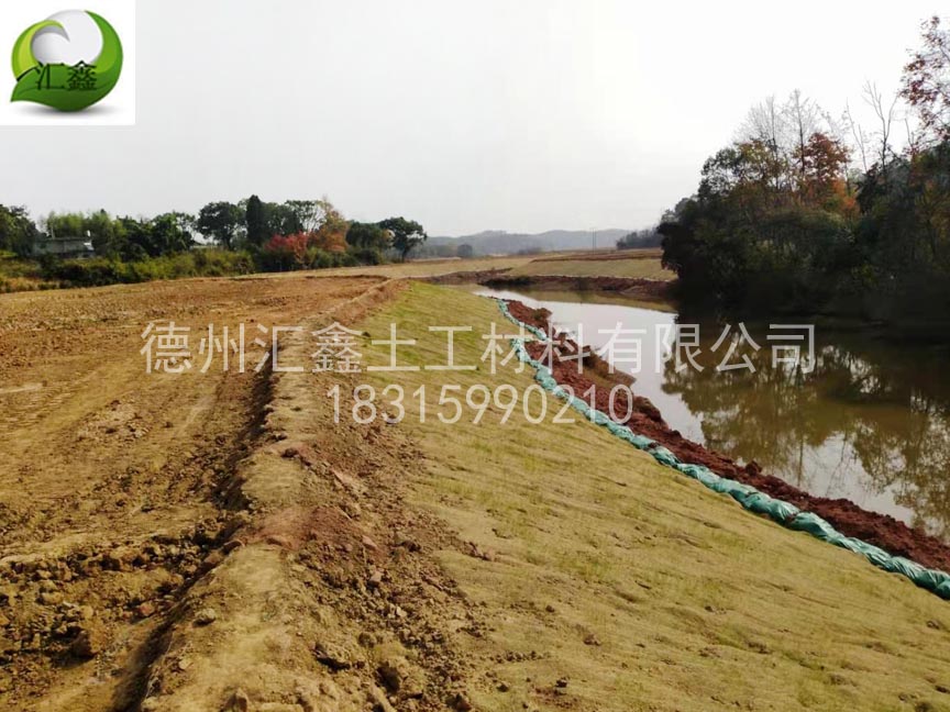 吉安萬安縣韶口鄉水庫邊坡防護綠化(圖1)