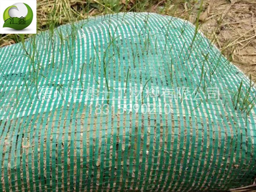 植生袋和生態袋的區別(圖2)