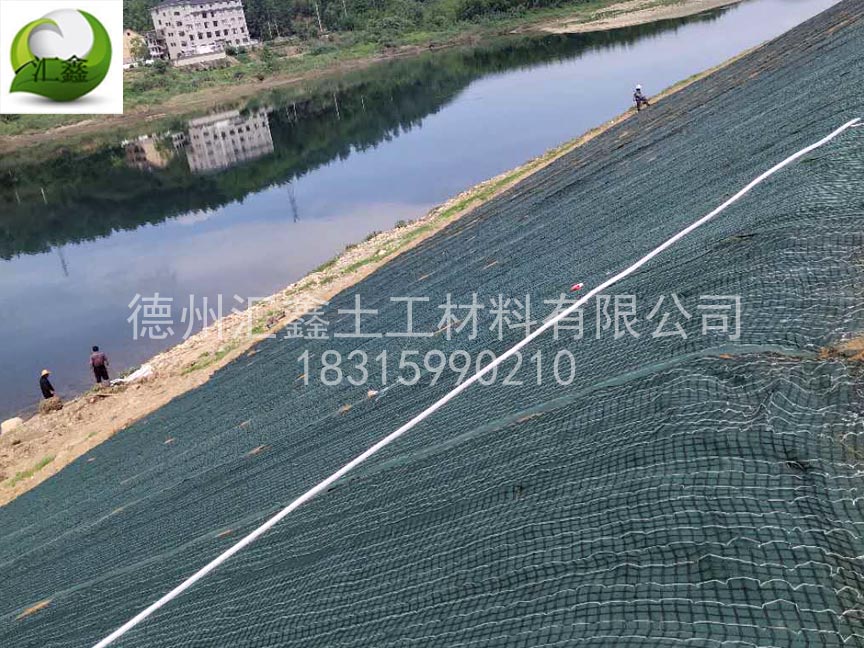 植生毯有哪些種類(圖3)