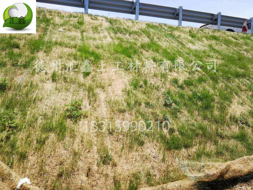 生態護坡毯——邊坡防護綠化的好幫手