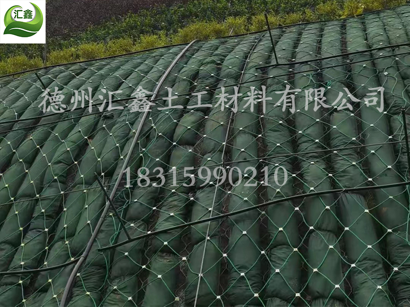 生態棒