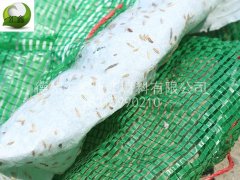 內蒙古楊總采購植生袋100000條