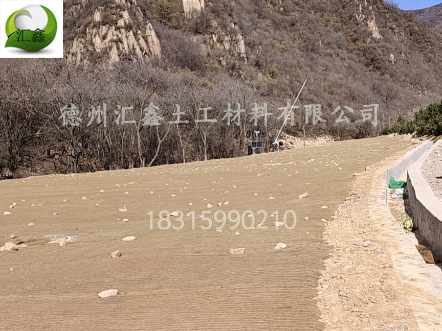 生態護坡毯——邊坡防護綠化的好幫手(圖2) 生態護坡毯——邊坡防護綠化的好幫手(圖2)