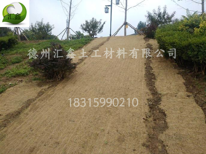 生態護坡毯——邊坡防護綠化的好幫手(圖3) 生態護坡毯——邊坡防護綠化的好幫手(圖3)