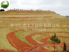 生態護坡毯與傳統護坡方式相比的優勢