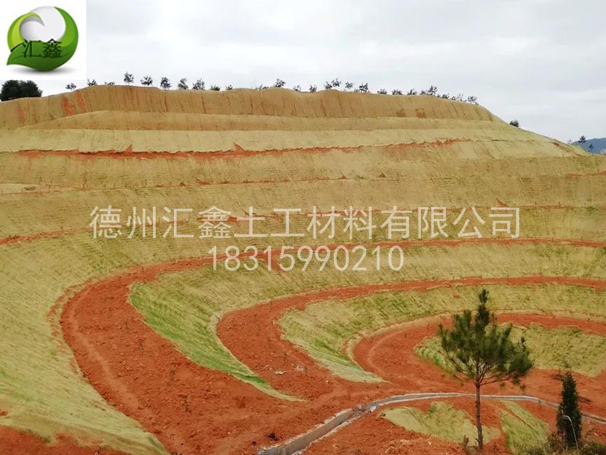 生態護坡毯種類齊全(圖1)