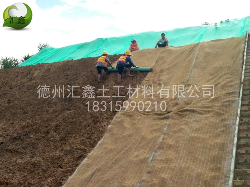 植生毯為什么可以護坡？(圖1)